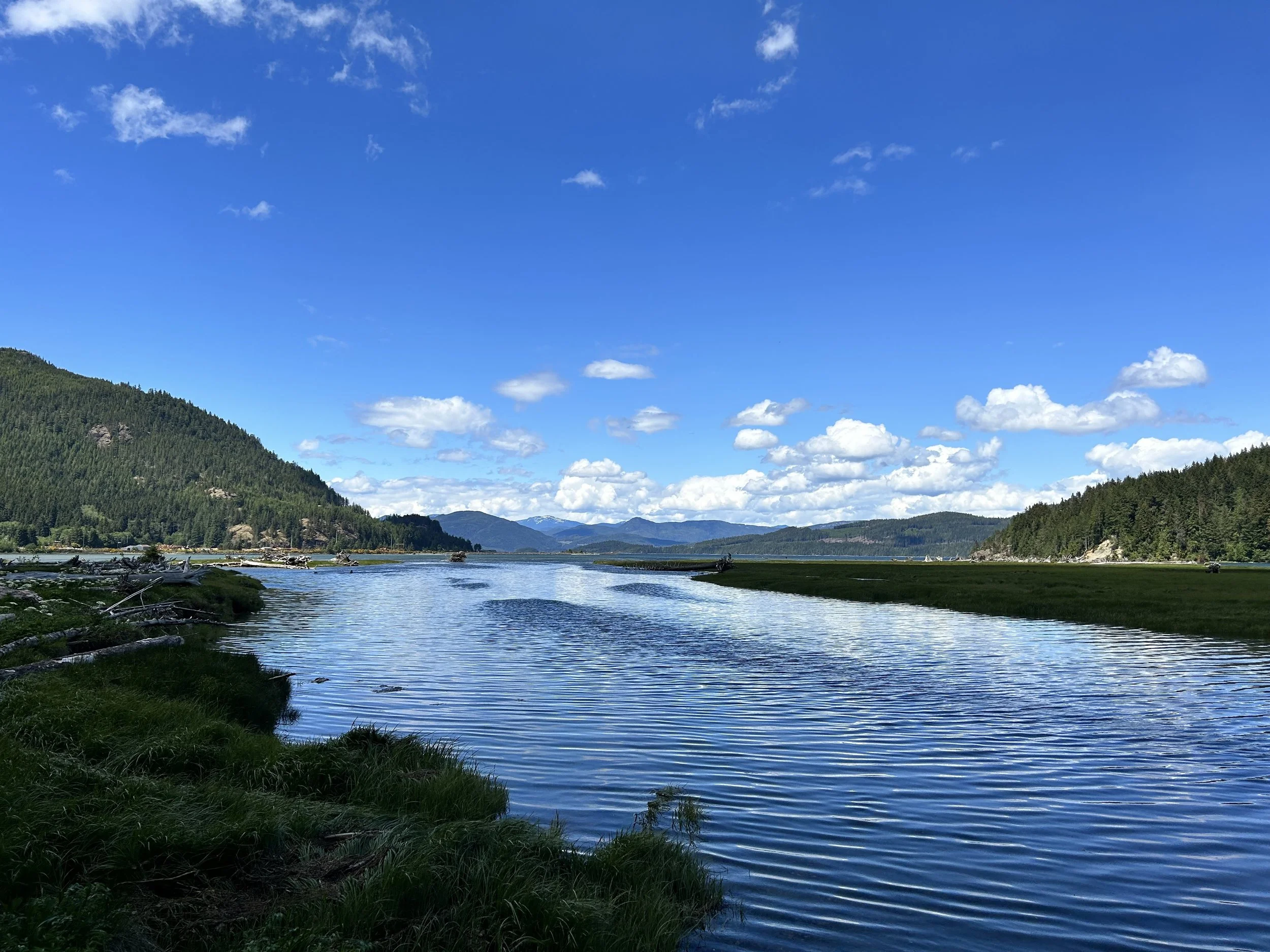 Sayward Estuary