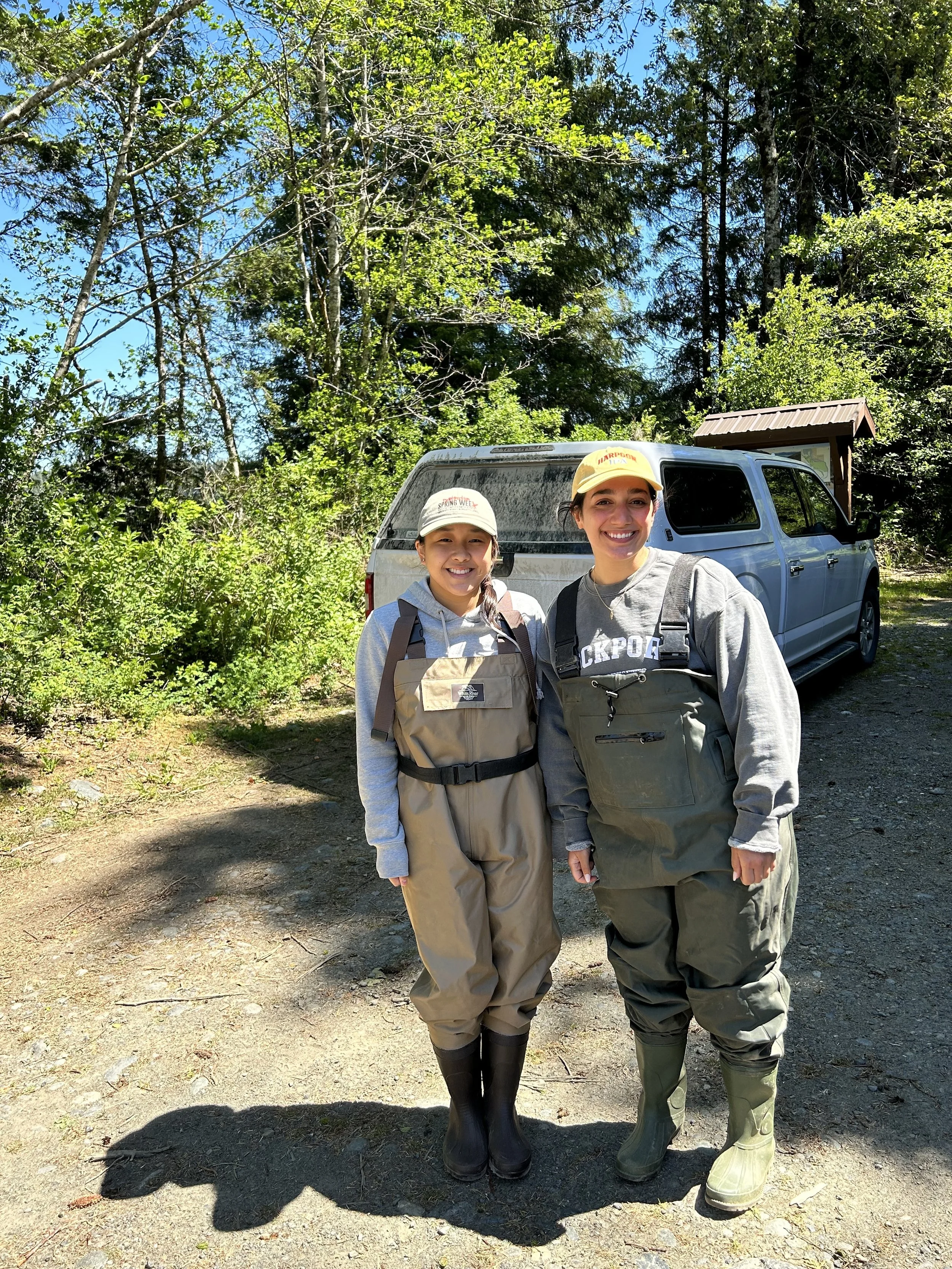 Waders!