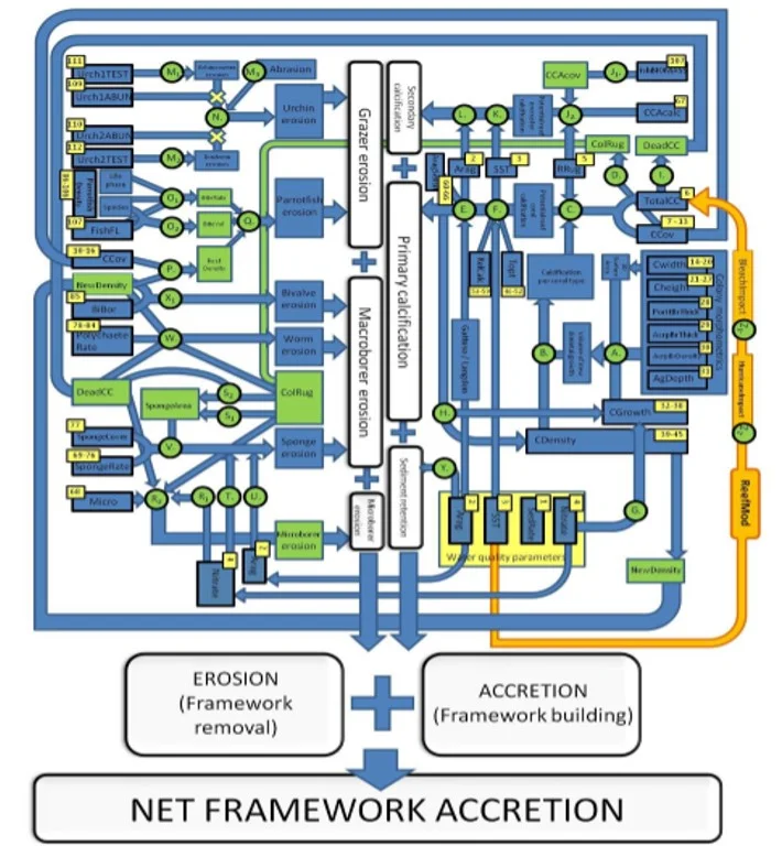 carbonate budget.jpg