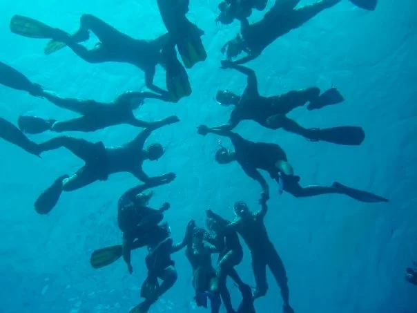 Bahamas Field Course for University of Exeter undergraduate students