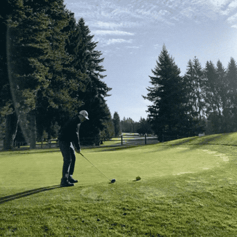 TT 1Tee Off.gif