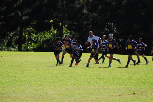 Juke Rugby Junior Rugby — Souths Rugby Union Club