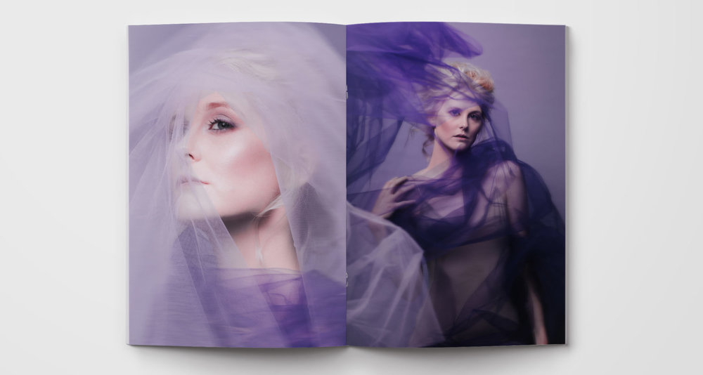 color-series-ink-and-mortar-violet-layout-2-1536x820.jpg
