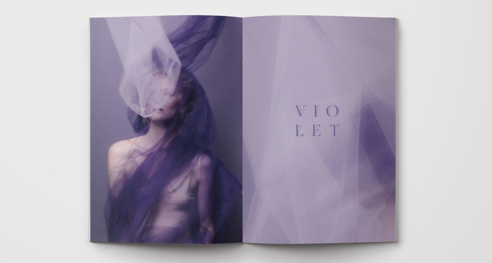 color-series-ink-and-mortar-violet-layout-1-1536x820.jpg