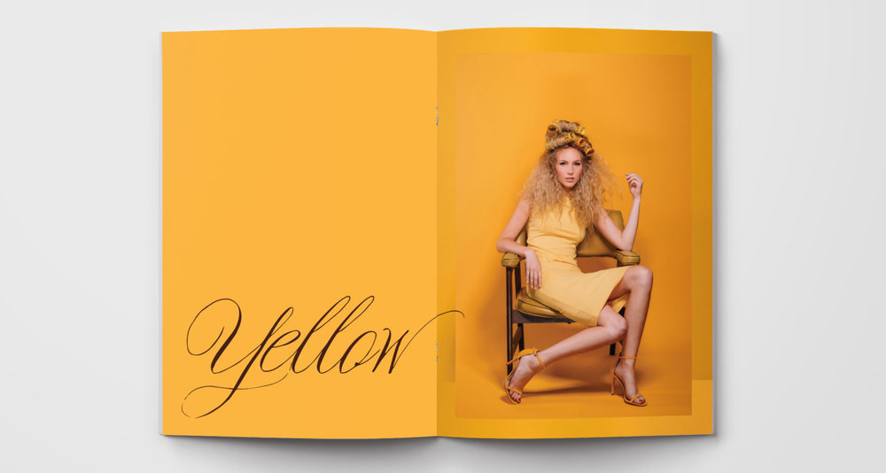 color-series-ink-and-mortar-yellow-layout-1-1536x820.jpg