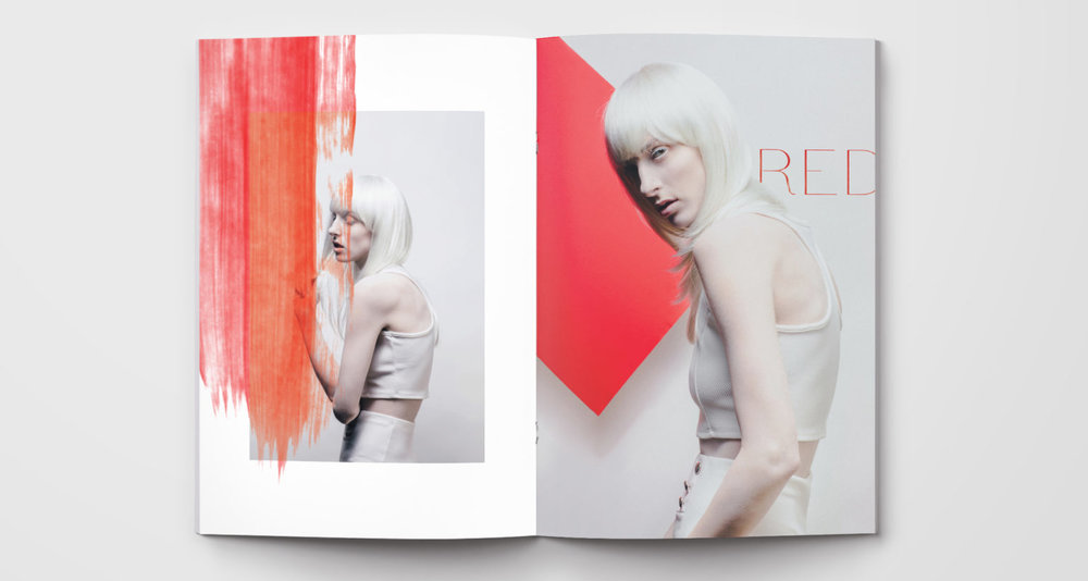 color-series-ink-and-mortar-red-layout-1-1536x820.jpg