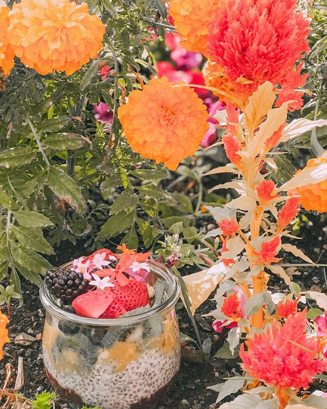 Our chia pudding captures the summer vibes perfectly!
.
.
#five5eeds #fiveseeds #parkcity #parkcityutah #parkcityfood #brunch #parkcitybrunch #utah #utahbrunch #saltlakecity #chiapudding #dishingPC #foodie #foodporn #rainbow #housemade #fromscratch