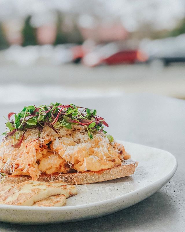 spice up your breakfast routine with our new Chilli Scrambled Eggs 🌶🌶 #five5eeds #fiveseeds #parkcity #parkcityutah #parkcityfood #brunch #parkcitybrunch #utah #utahbrunch #saltlakecity #chiapudding #dishingPC #foodie #foodporn #rainbow #housemade 