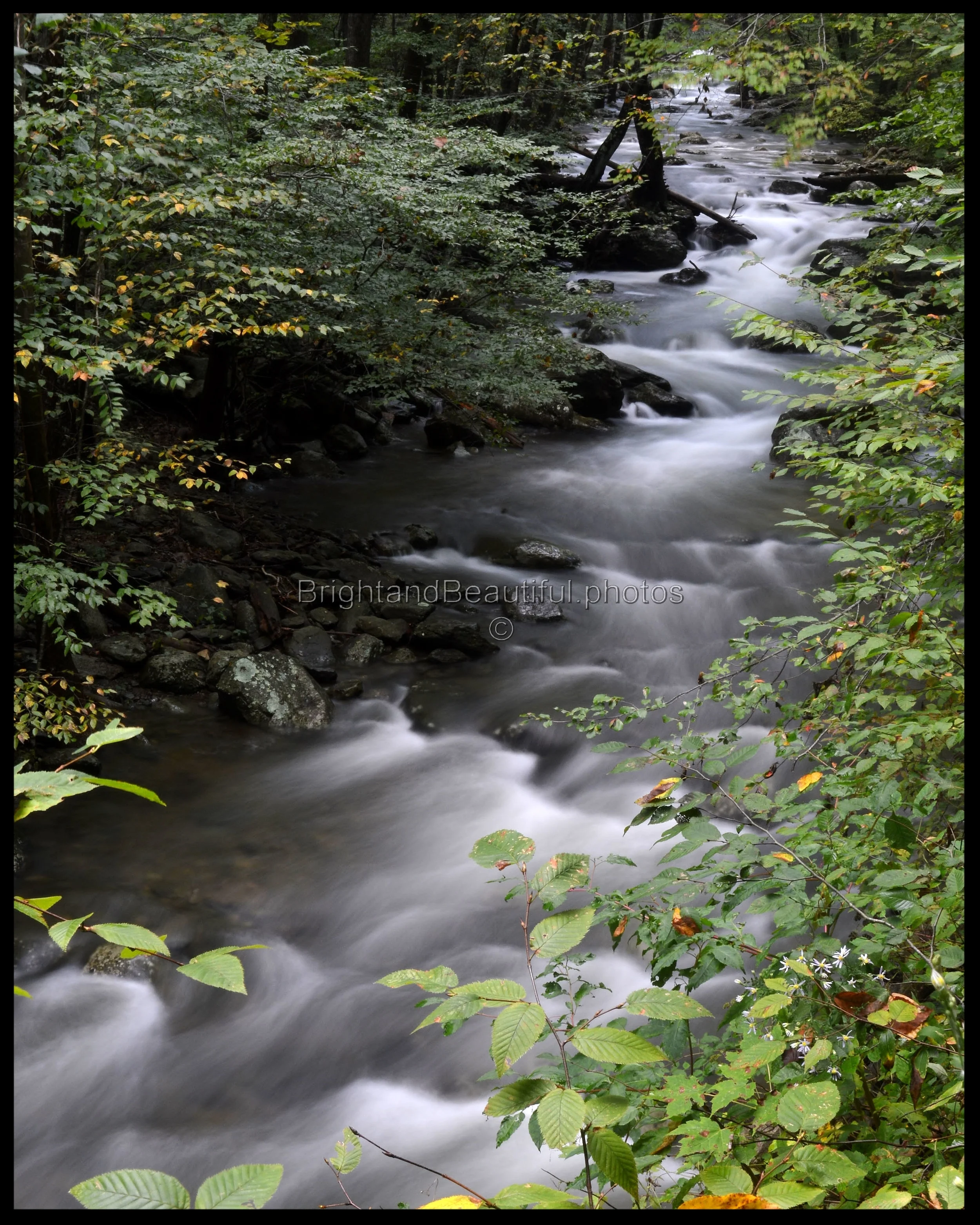 Robinson River,  Whiteoak Canyon, VA