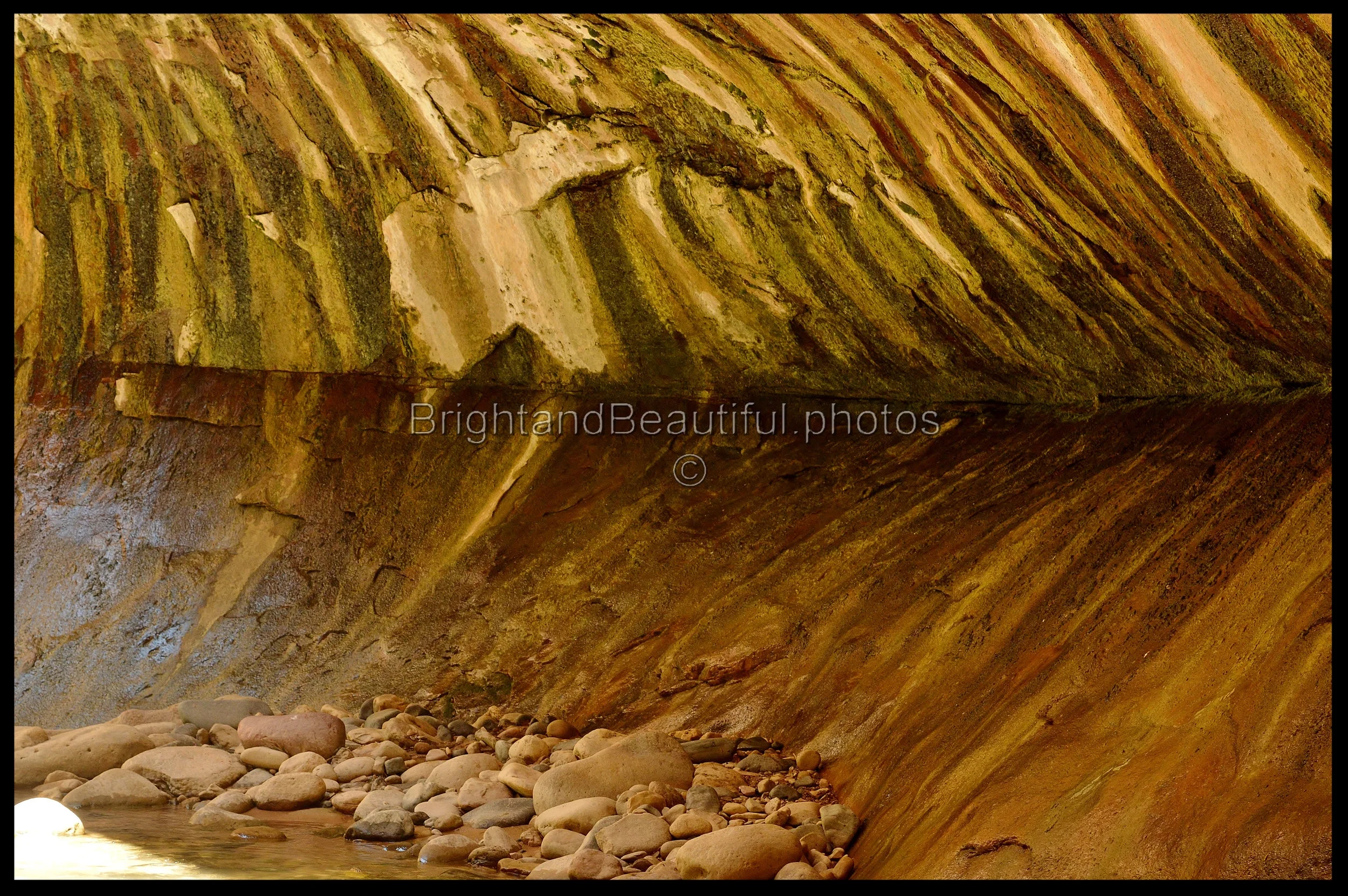 Mirrored Strata, The Narrow, Zion National Park