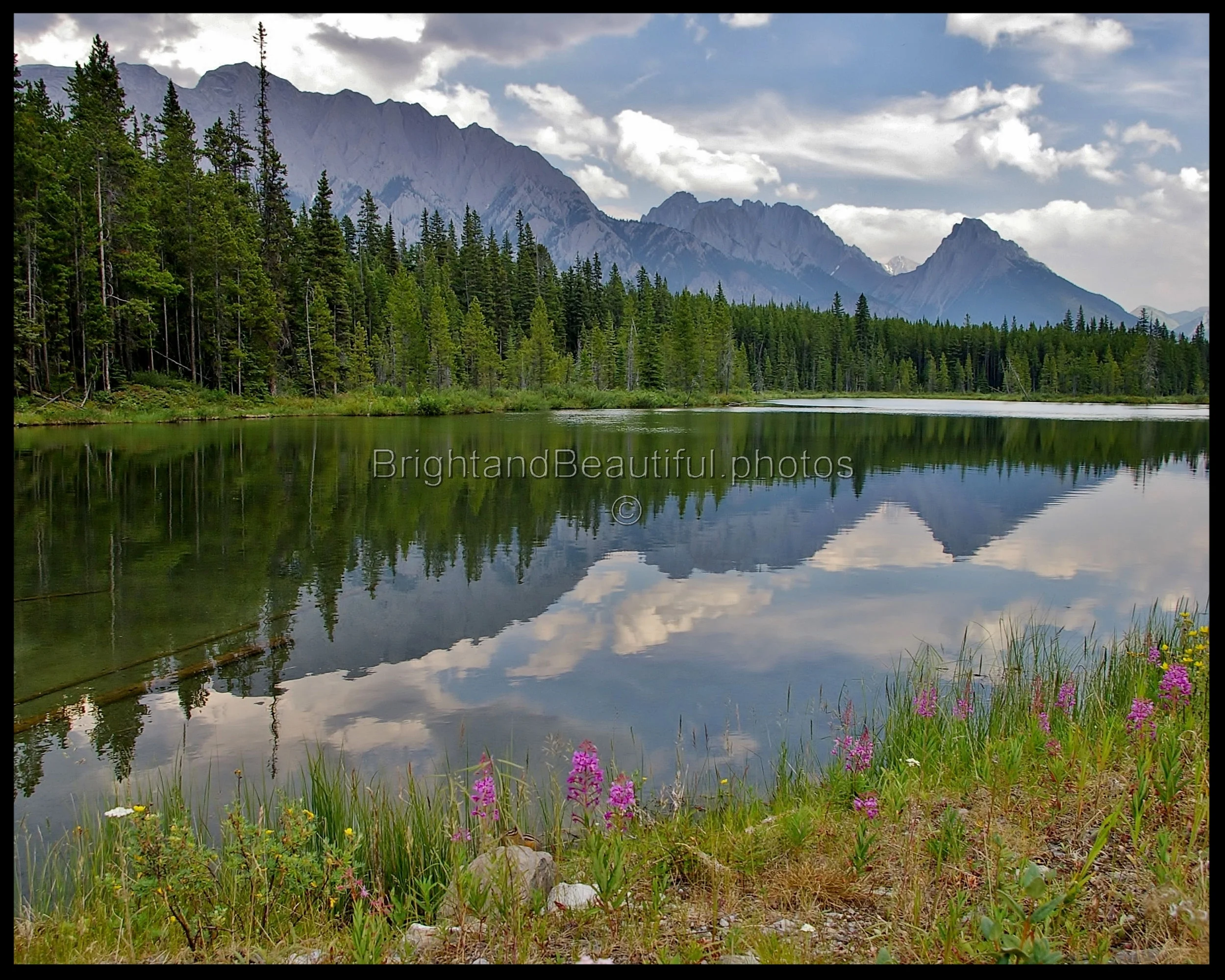 Canadian Rockies Reflection, Banff