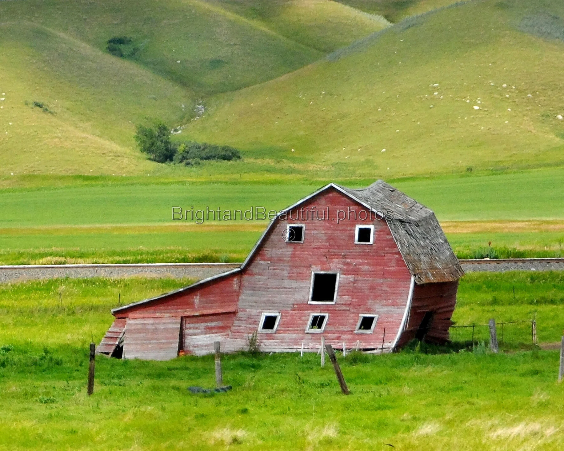 Tired Red Barn, Montana