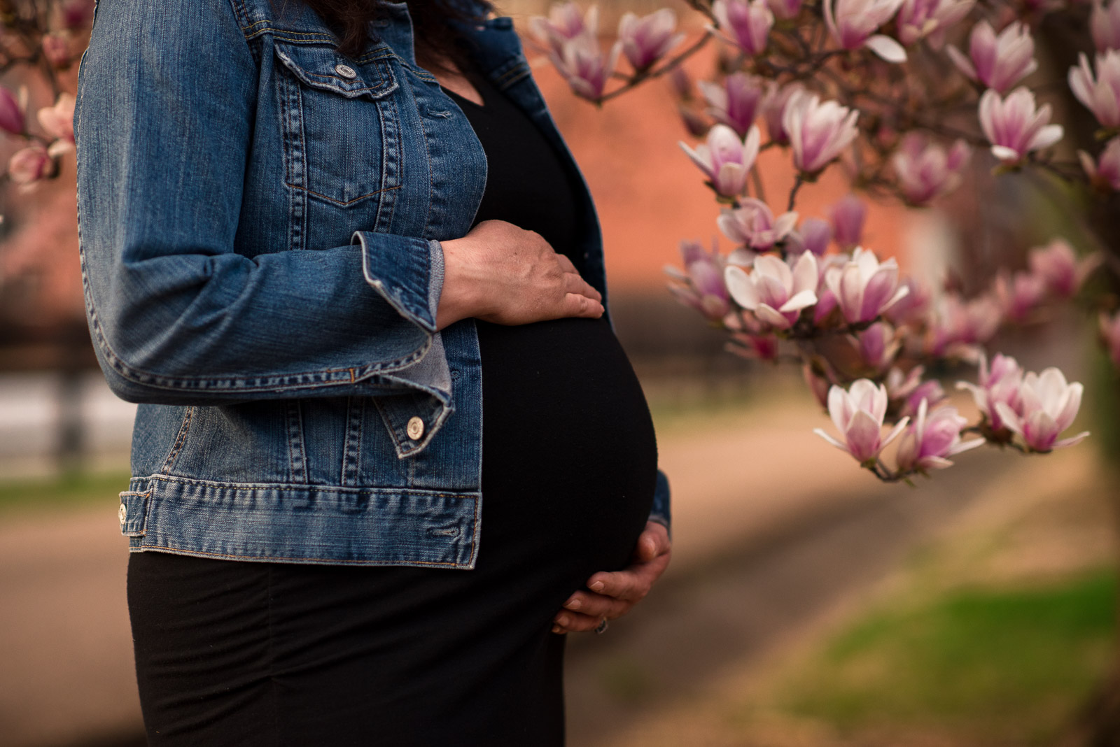 Collierville Pregnancy Photographer