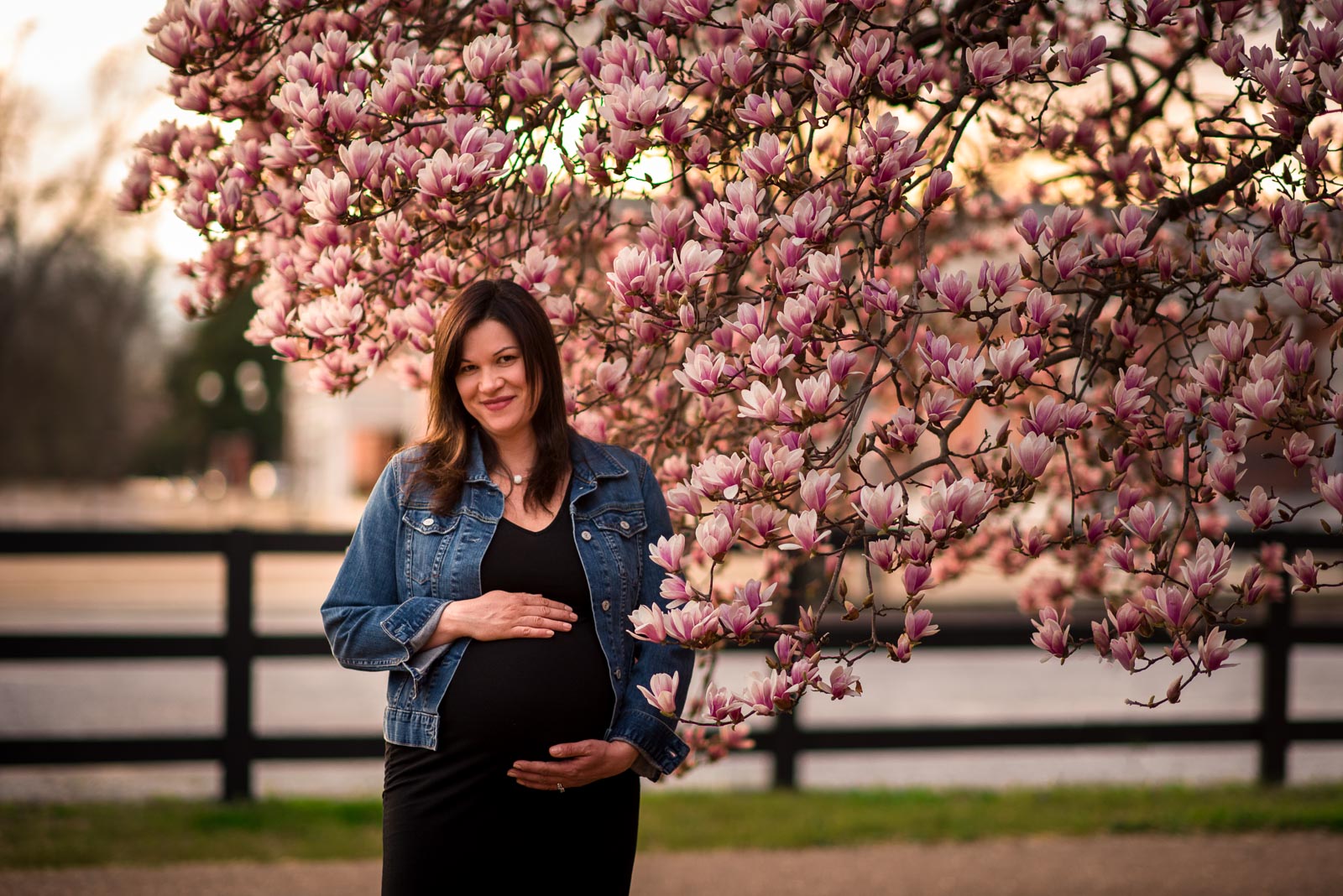 Collierville Pregnancy Photographer