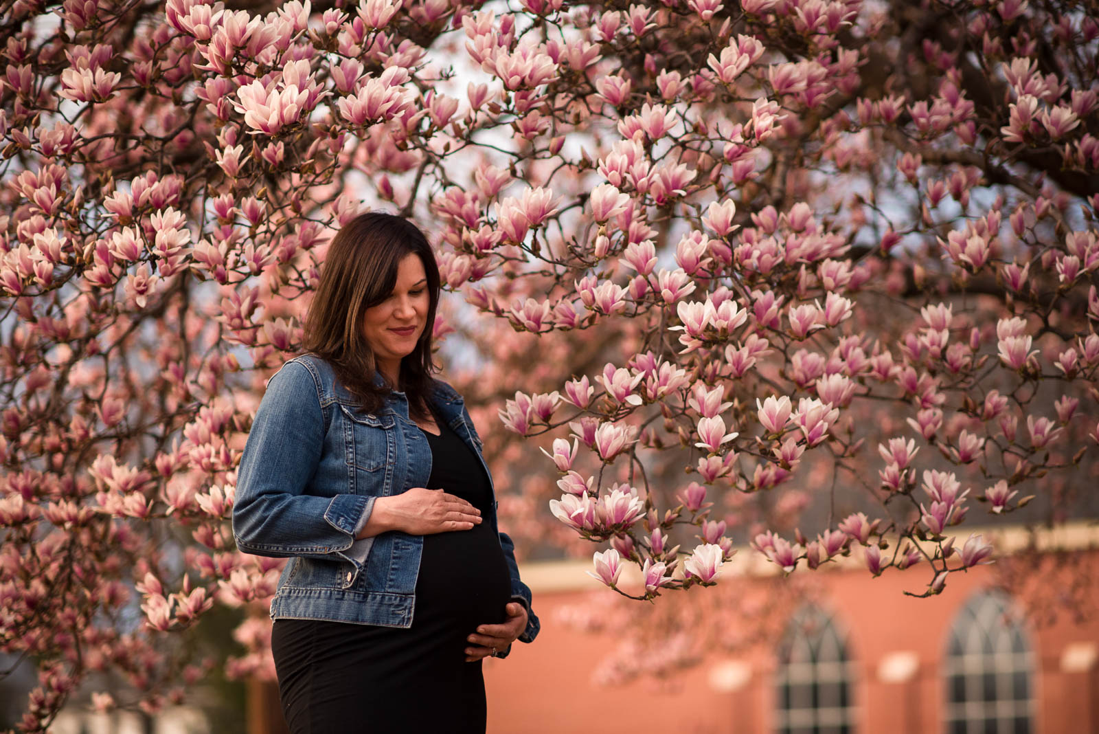 Collierville Pregnancy Photographer