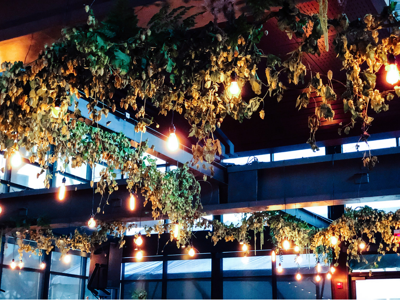 screenshot 2018-11-07 10.14.59.PNG