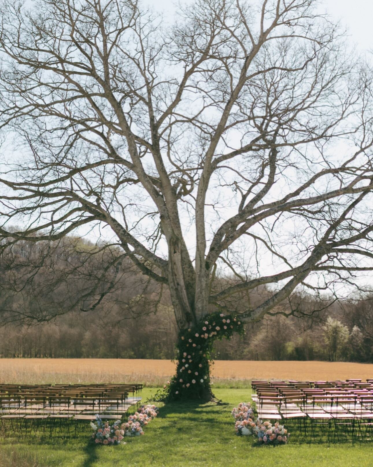 Trees and Flowers 🌷 🌿🌳
Planner l @vineandoak 
Venue l @southall_meadows