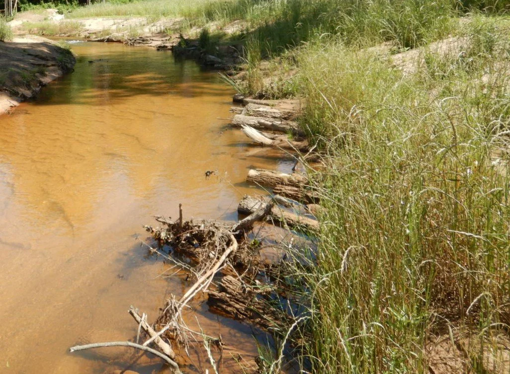 2023 Restoration Projects — Resource Institute, Inc.