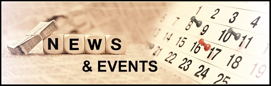 24_Main_News-website.jpg
