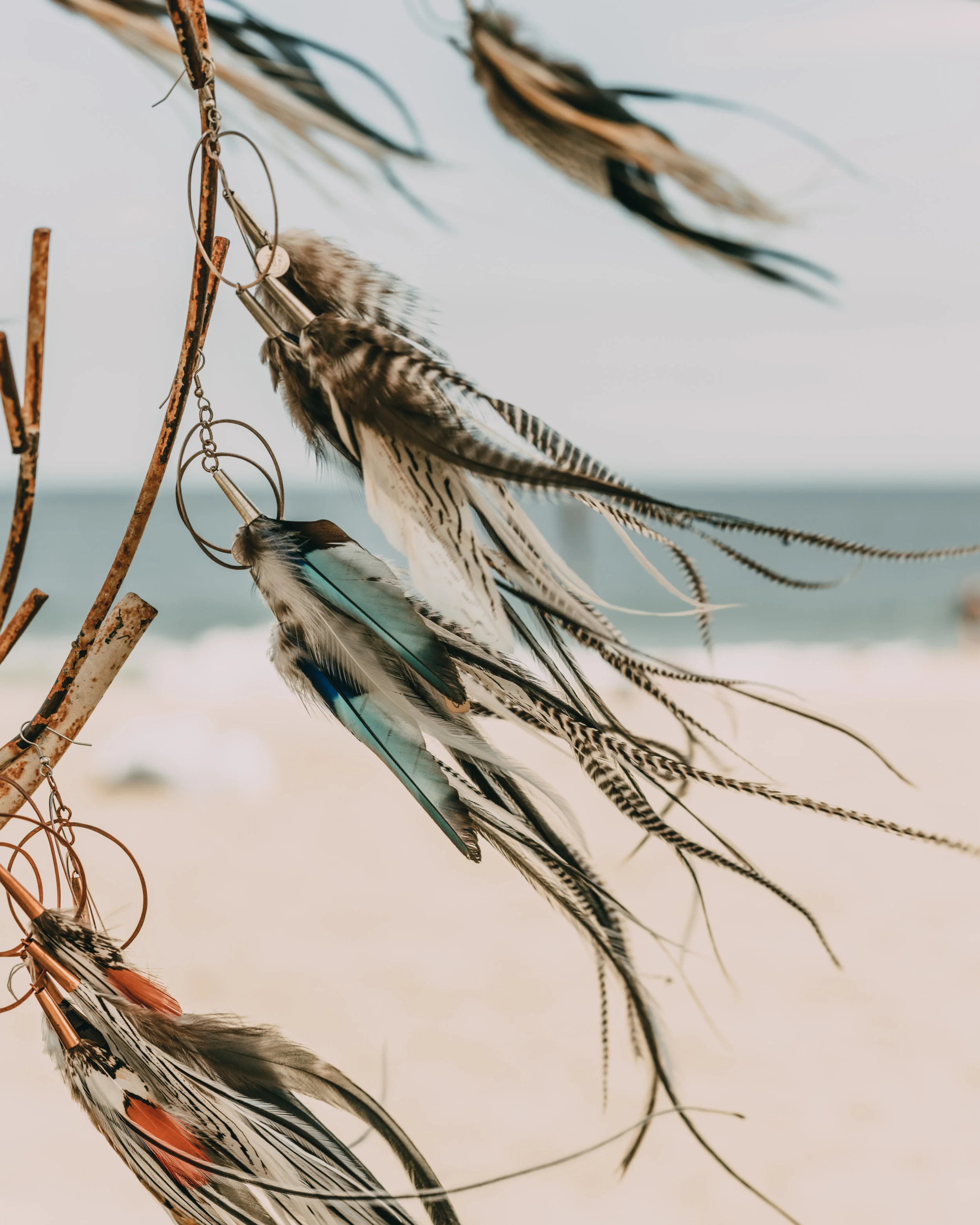      

 
   This 3-month course is for  YOU ,  badass humans  who are ready to  step into your power , unleash your  wild truth within , share your  fuking amazing gifts  with the world, own your  authentic voice  and  fearlessly  embark on your jour