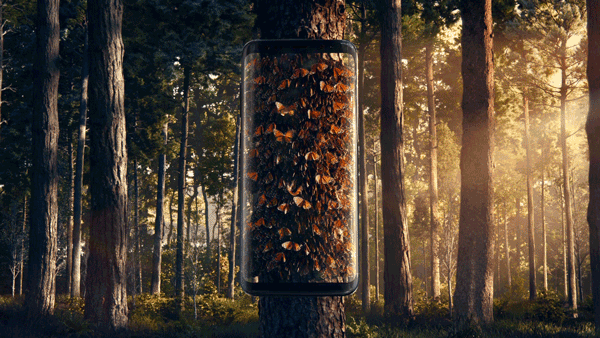 Butterfly4.gif