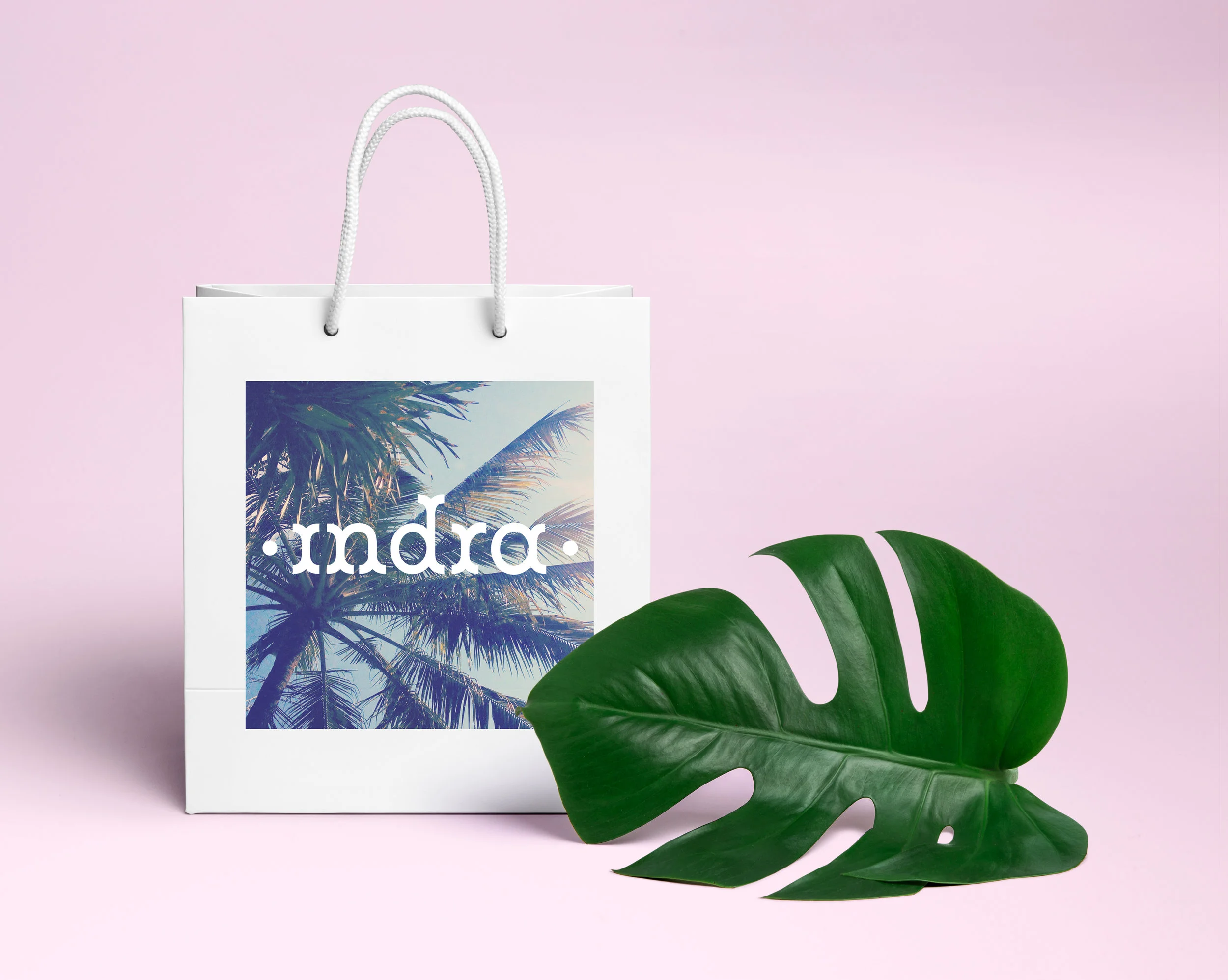 Shopping-Bag-PSD-MockUp-4.jpg