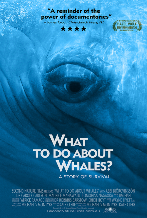 What To Do About Whales