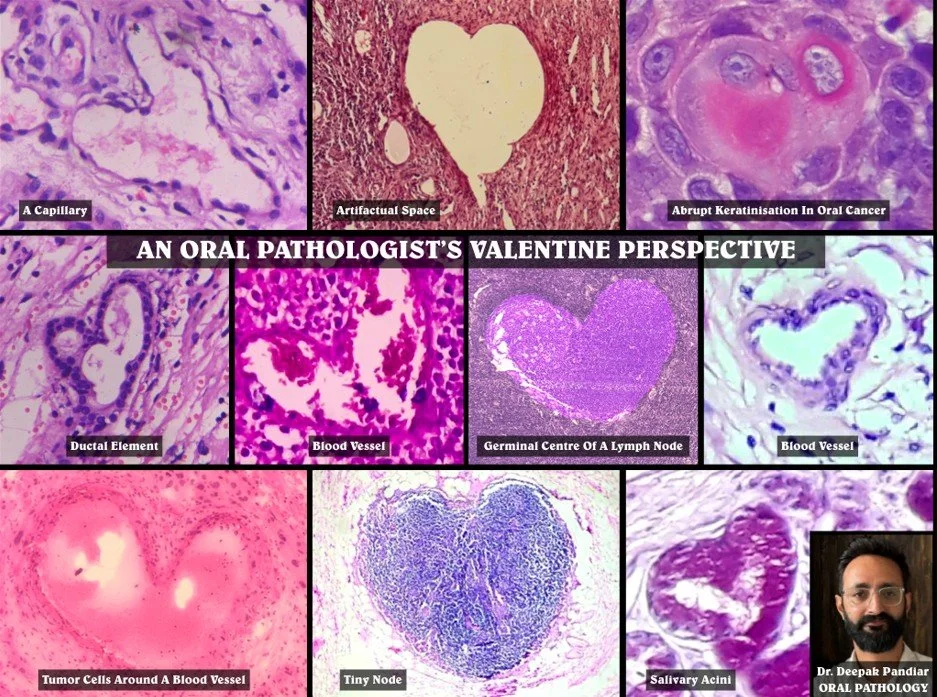 Website upload 14-02.jpg