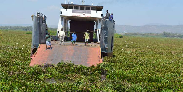 Lake-Victoria-full-of-hyacinth.jpg