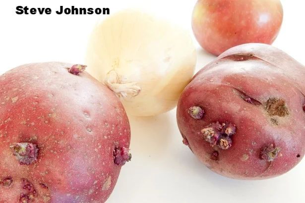 Steve Johnson.jpg