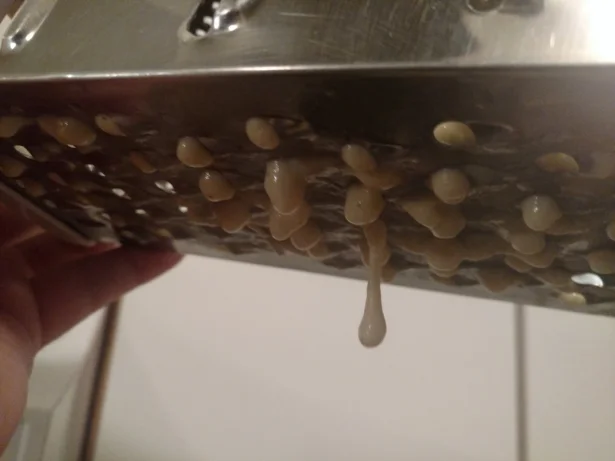 grater.jpg
