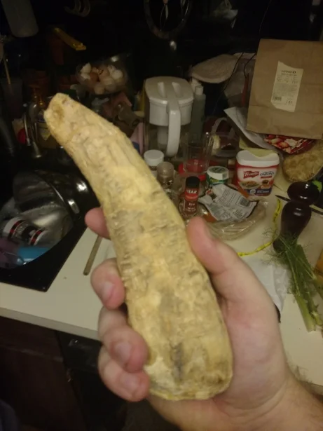 bah.jpg