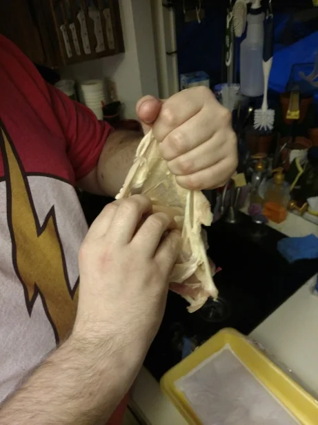 manhandled.jpg
