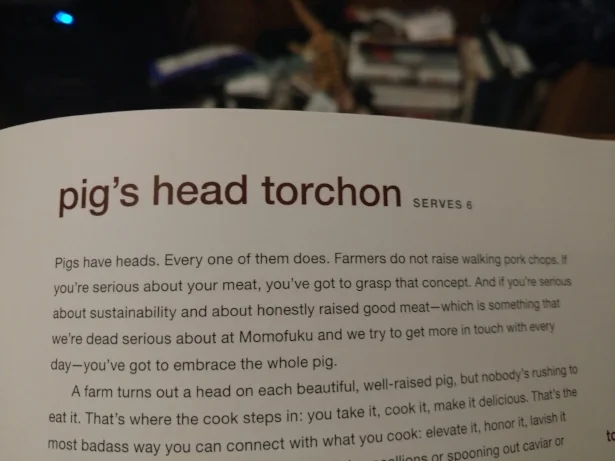 head.jpg