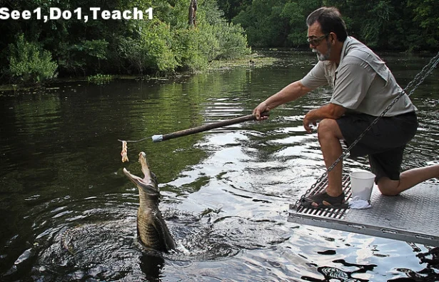 see1 do1 teach1.jpg
