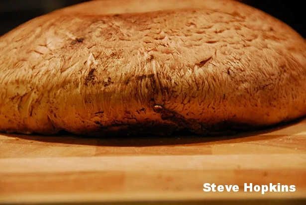 Steve hopson.jpg