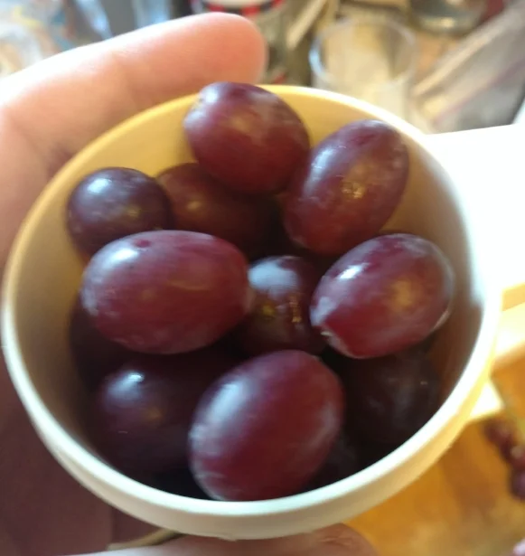 blurred vines.jpg