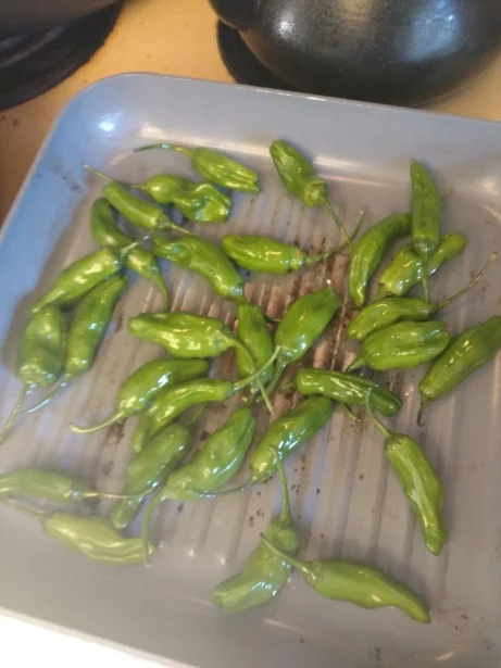 grill pan.jpg