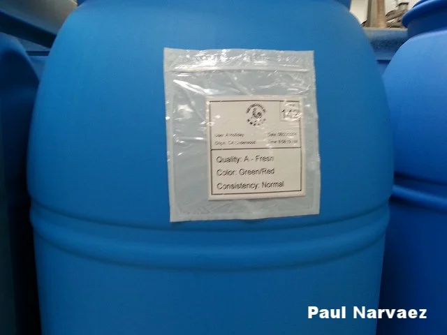 Paul Narvaez barrel.jpg