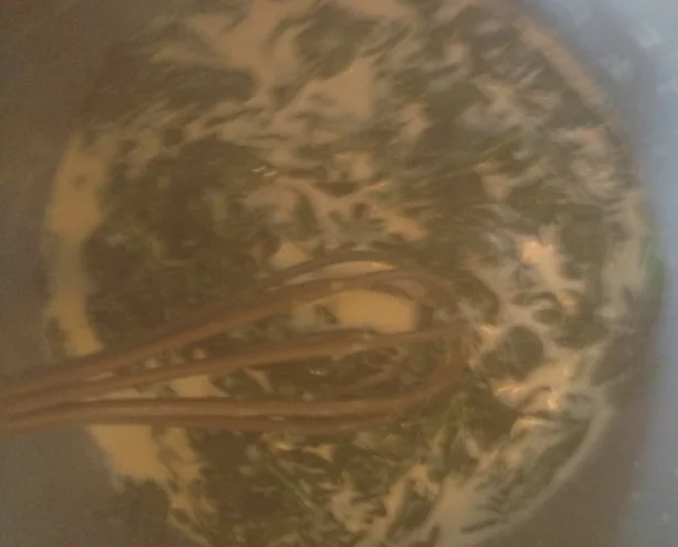 steamy.jpg