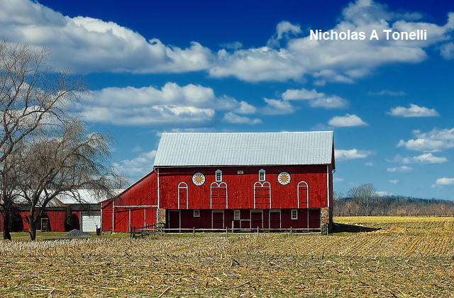 barns.png