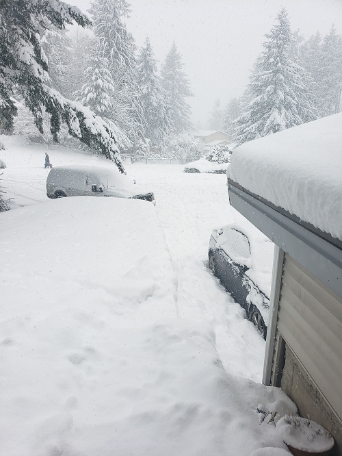 I aint afraid of no snow.png