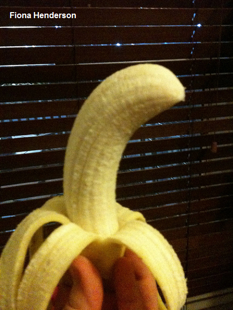 curves to the left.png