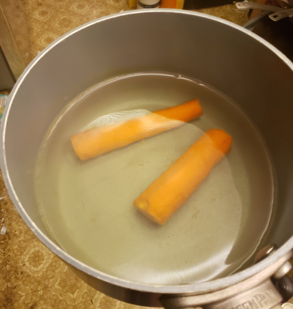 6 - Carrot.png