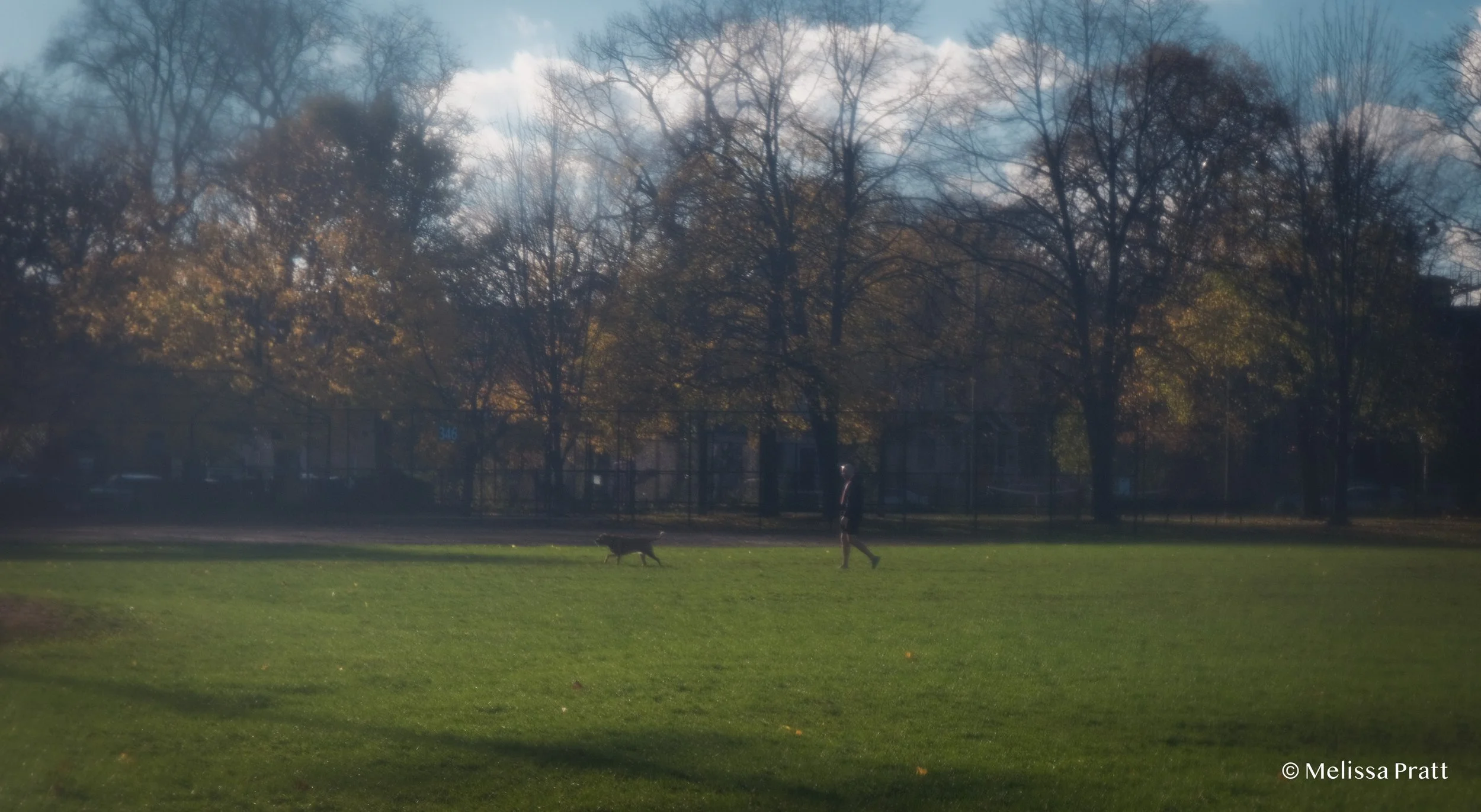 DSCF0701.jpg