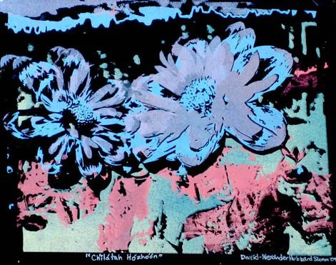 Ch'ilatah Hozhoon , 5-color silkscreen print on paper, 6" x 8"