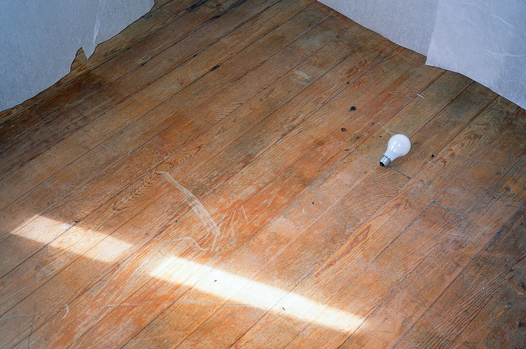 Untitled 35mm photograph from the 2016 series Flare .
