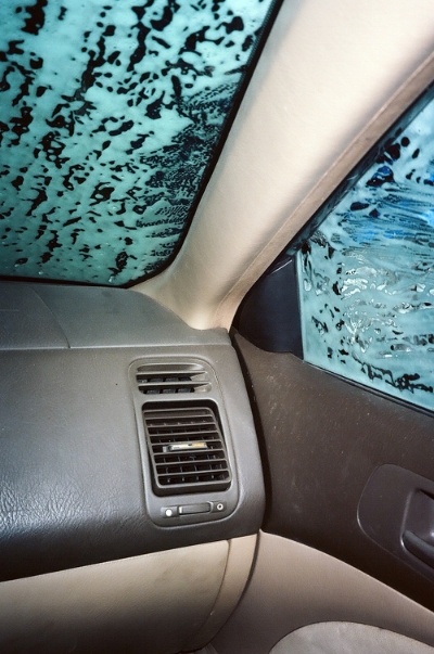 Untitled 35mm photograph from the 2016 series Temperance .
