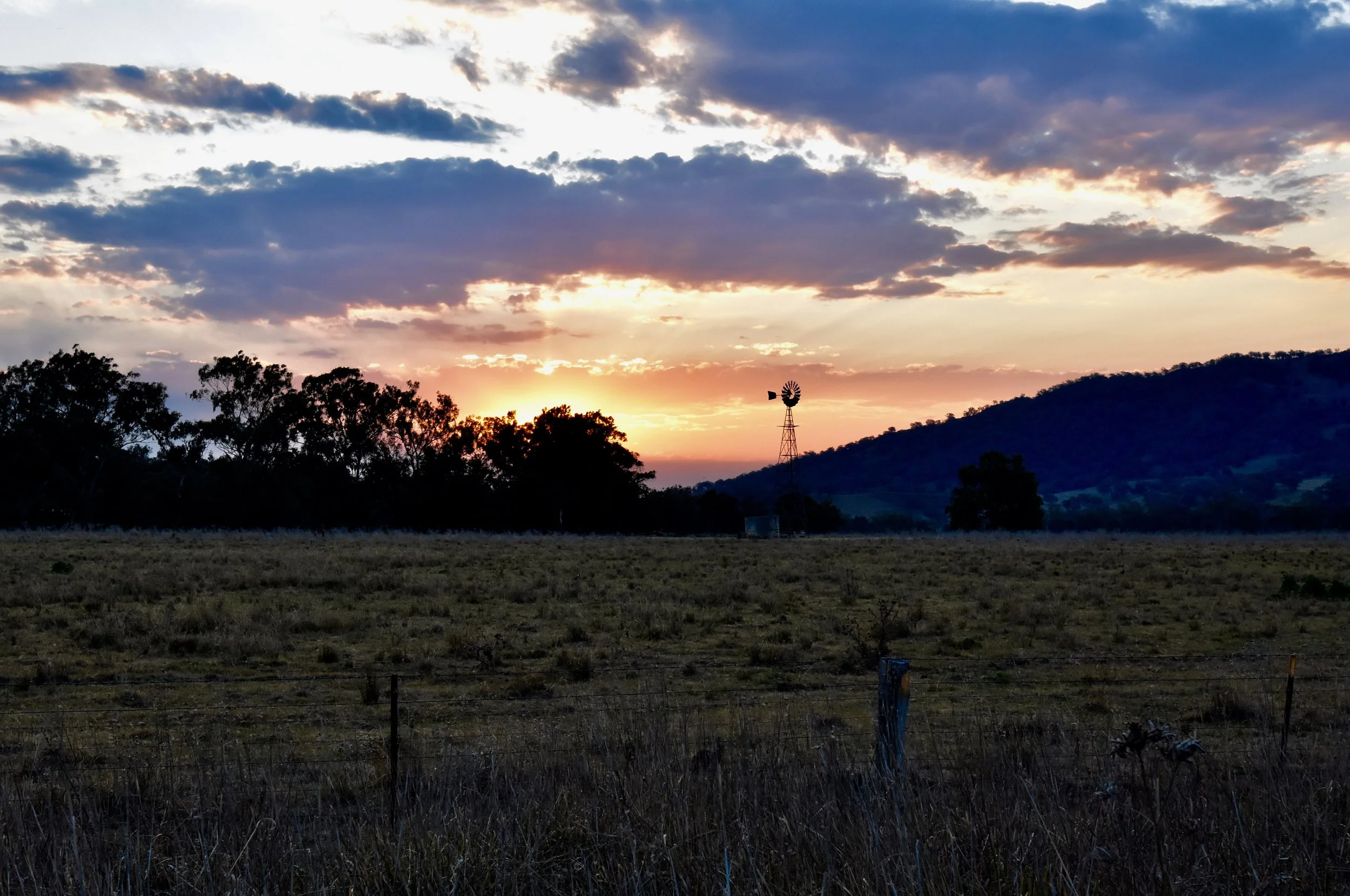 _DSC6893 copy.jpg