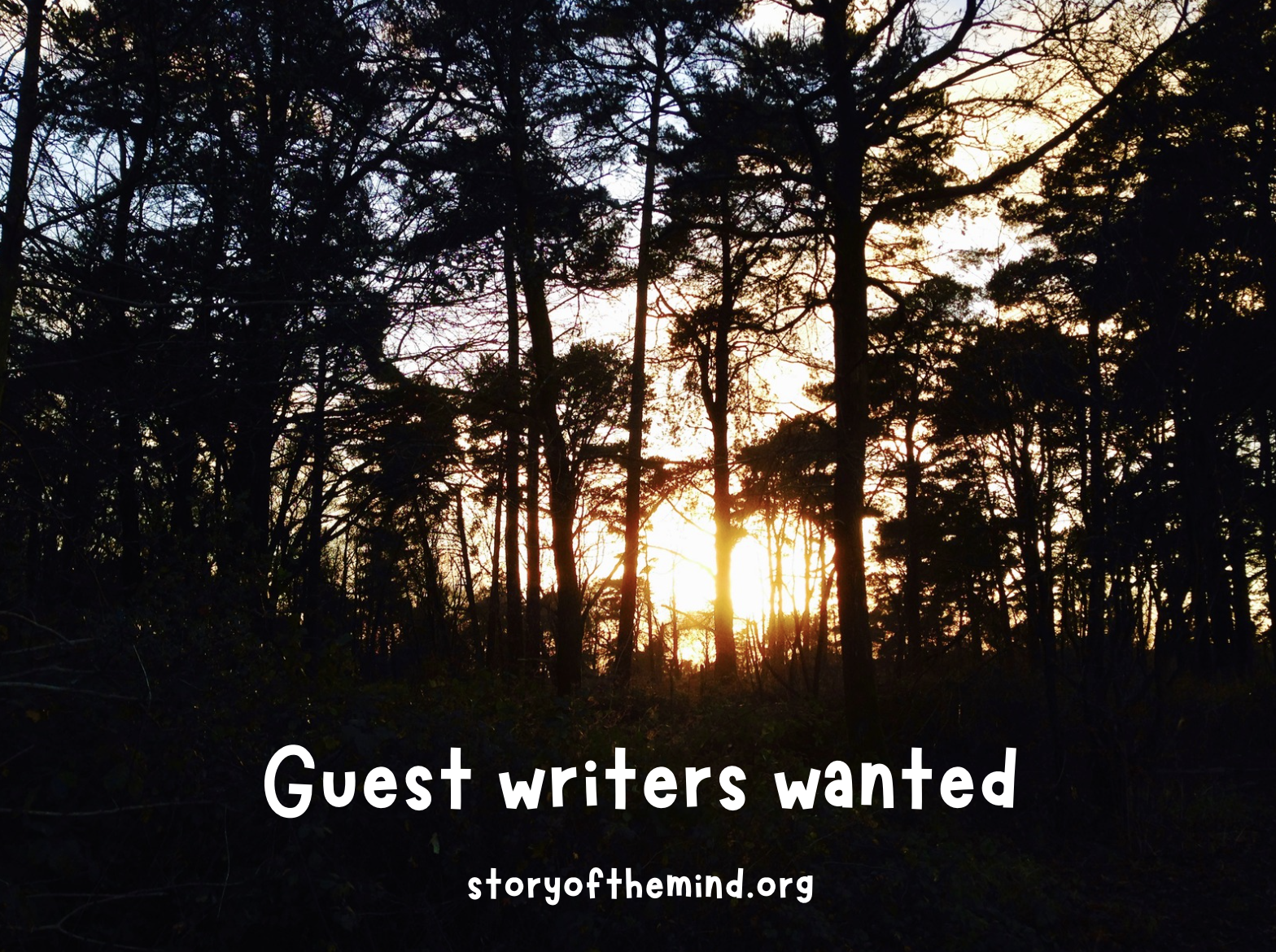 Guest Writers Wanted! 